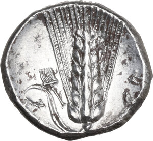 reverse: Southern Lucania, Metapontum. AR Stater, 330-290 BC