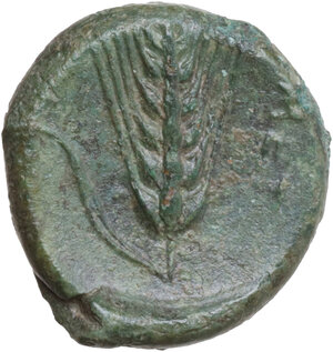 reverse: Southern Lucania, Metapontum. AE 17 mm, c. 340-275 BC