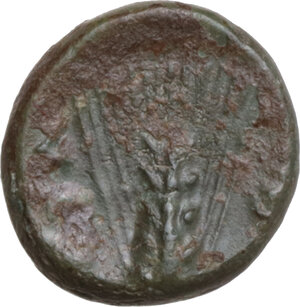 reverse: Southern Lucania, Metapontum. AE 10 mm, c. 300-250 BC