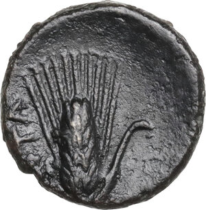 reverse: Southern Lucania, Metapontum. AE 14 mm, 275-250 BC