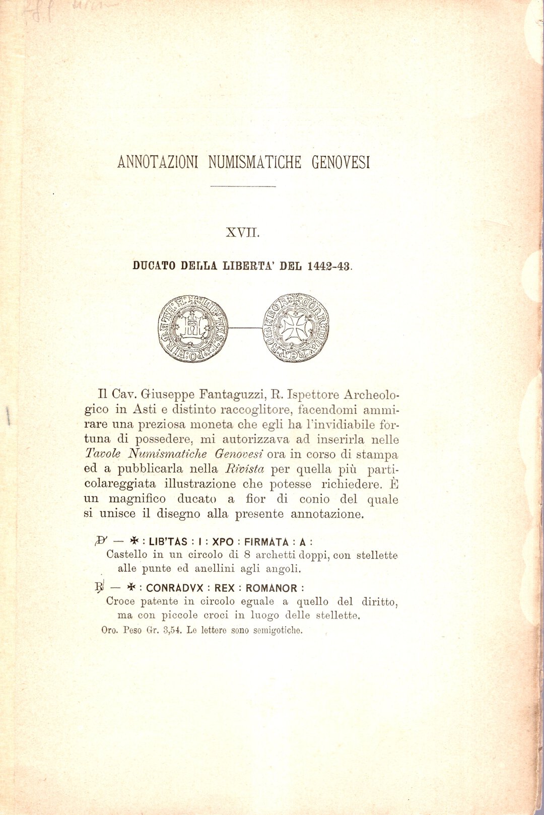 Dritto moneta