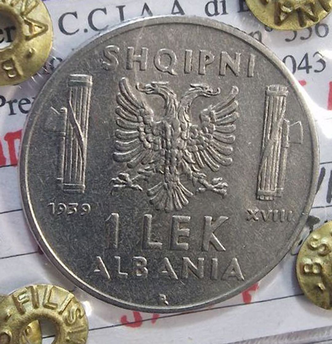 Immagine aggiuntiva 1