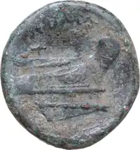 Reverse image