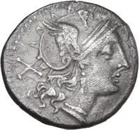 lot 243