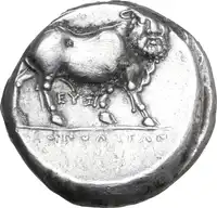 Reverse image