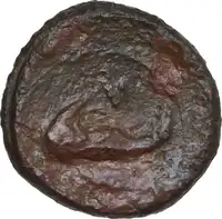 Reverse image