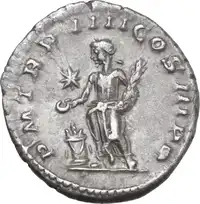lot 510