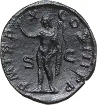 lot 517