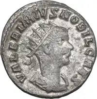 lot 568