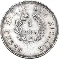lot 894