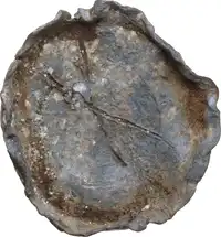 lot 974