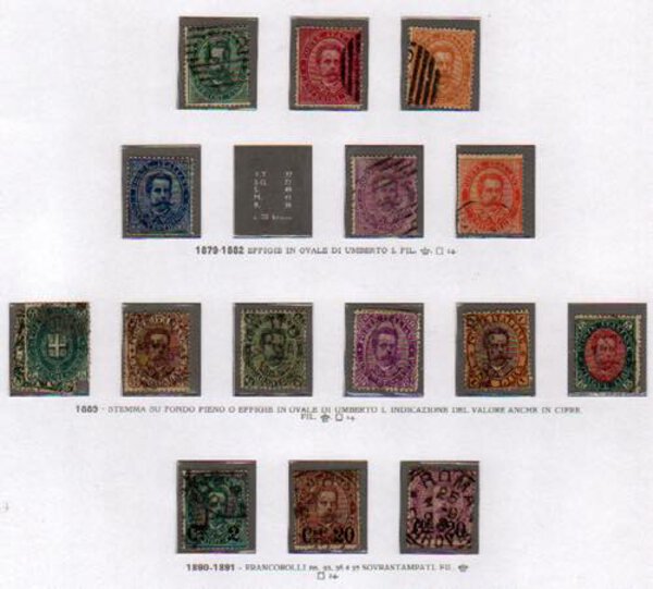 Immagine aggiuntiva 7