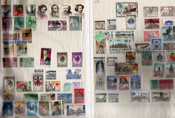 Immagine aggiuntiva 2