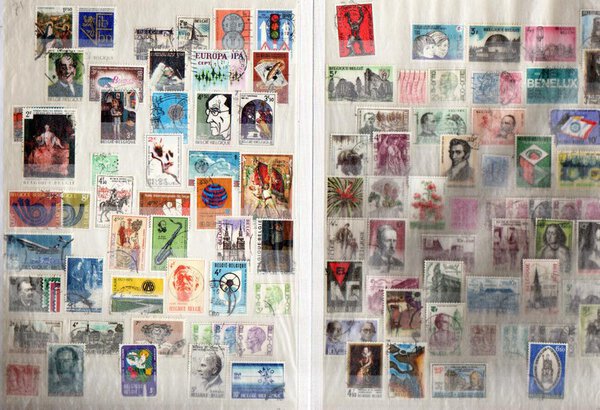 Immagine aggiuntiva 3