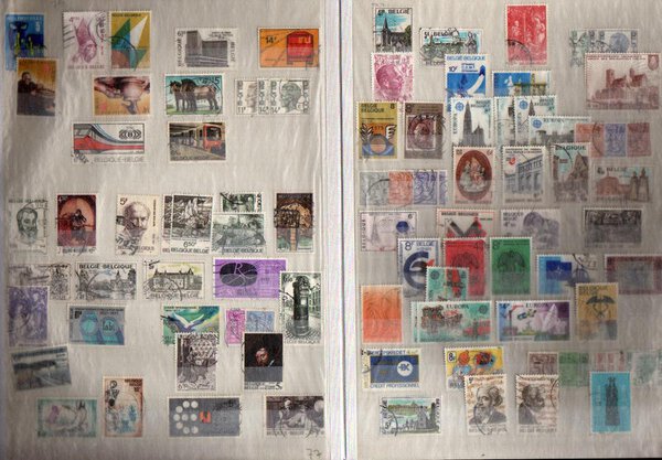 Immagine aggiuntiva 4