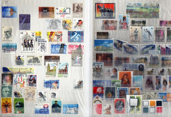 Immagine aggiuntiva 6