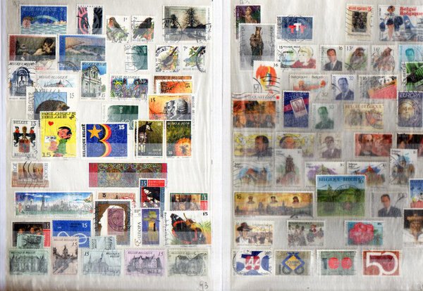 Immagine aggiuntiva 7