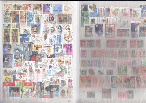 Immagine aggiuntiva 8