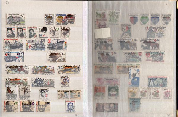 Immagine aggiuntiva 4