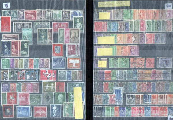 Immagine aggiuntiva 3