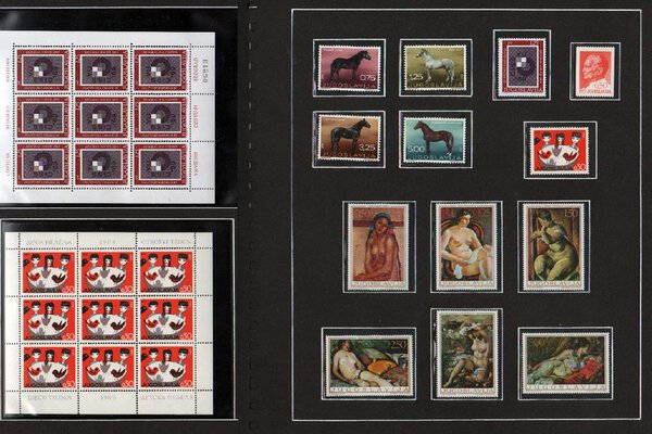 Immagine aggiuntiva 1