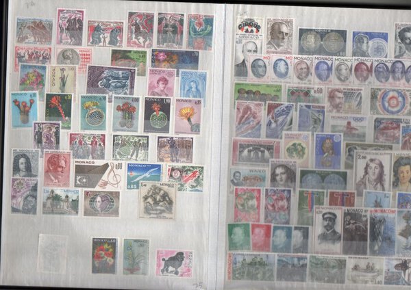 Immagine aggiuntiva 4