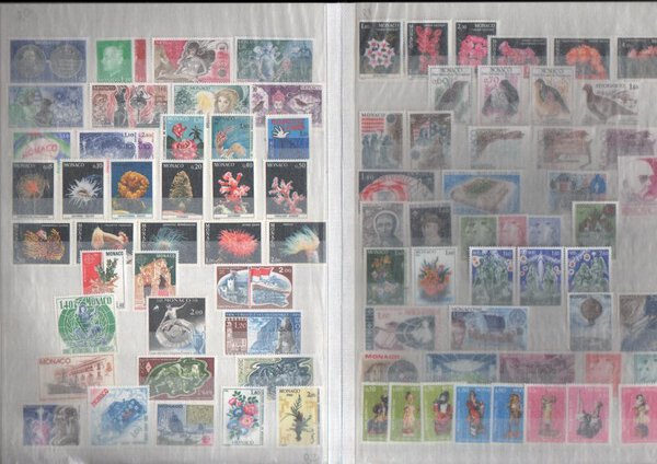 Immagine aggiuntiva 6