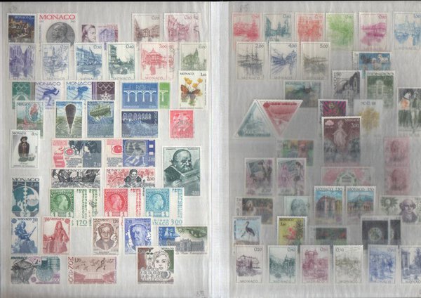 Immagine aggiuntiva 7