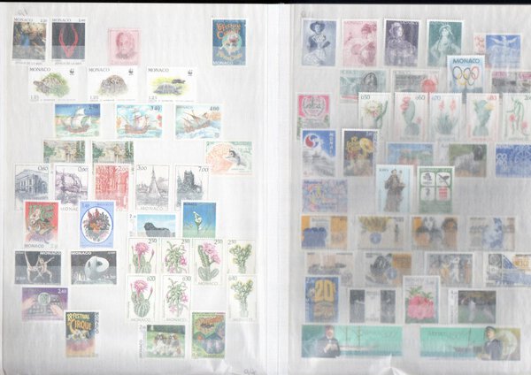 Immagine aggiuntiva 8