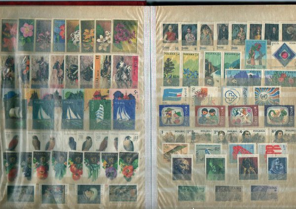 Immagine aggiuntiva 1