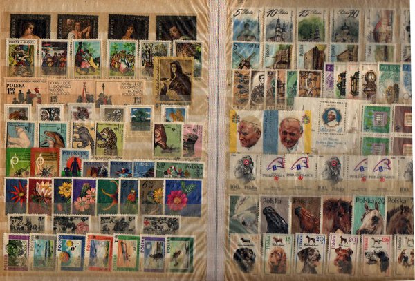 Immagine aggiuntiva 2