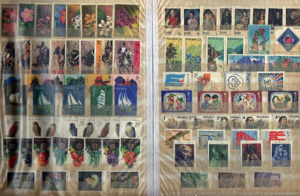 Immagine aggiuntiva 3