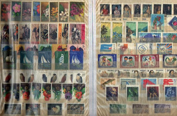 Immagine aggiuntiva 4