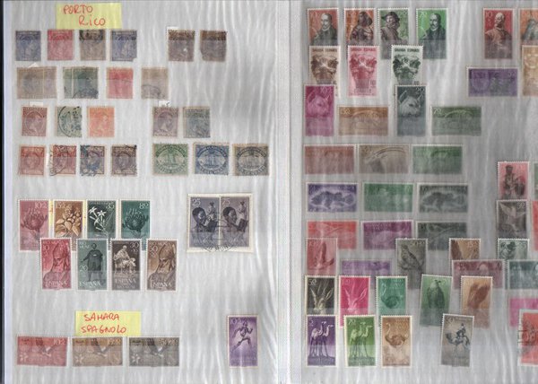 Immagine aggiuntiva 2