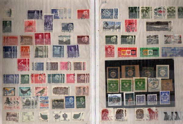 Immagine aggiuntiva 4