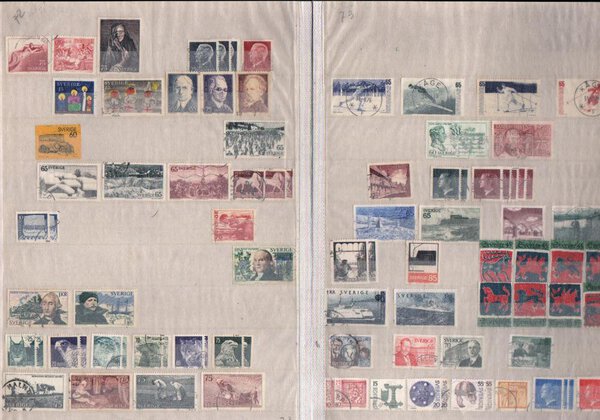 Immagine aggiuntiva 5