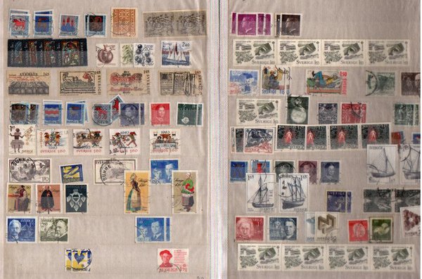 Immagine aggiuntiva 6