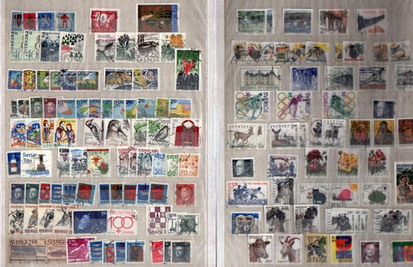 Immagine aggiuntiva 7