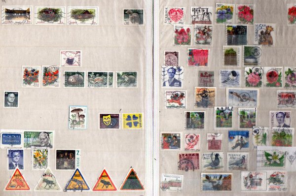 Immagine aggiuntiva 8