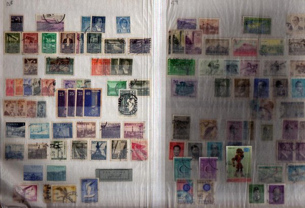 Immagine aggiuntiva 1