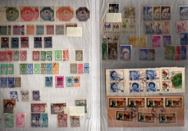 Immagine aggiuntiva 5