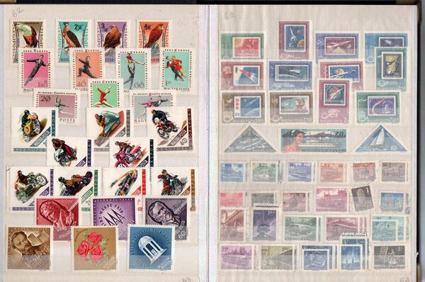 Immagine aggiuntiva 1