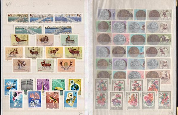 Immagine aggiuntiva 4