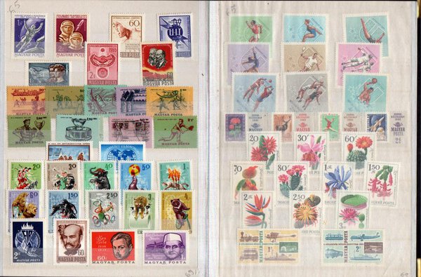 Immagine aggiuntiva 5