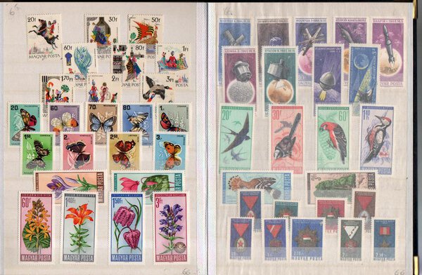 Immagine aggiuntiva 6