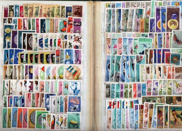 Immagine aggiuntiva 8