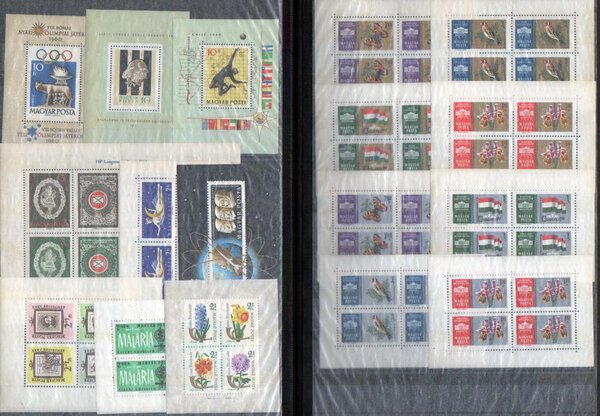 Immagine aggiuntiva 1