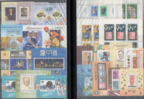 Immagine aggiuntiva 8