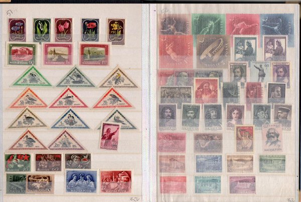 Immagine aggiuntiva 1