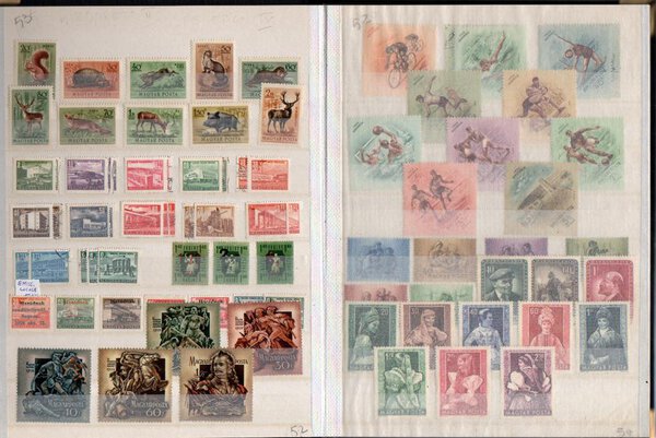 Immagine aggiuntiva 2